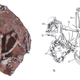 Image: Junchang Lü et al., 2017